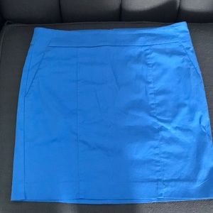 Ann Taylor Madison Skirt